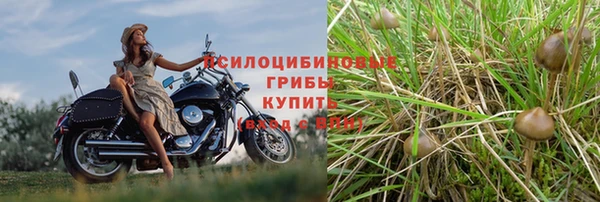 мескалин Навашино