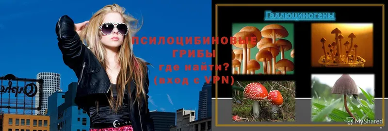 Галлюциногенные грибы Psilocybe  гидра как войти  Кинешма 