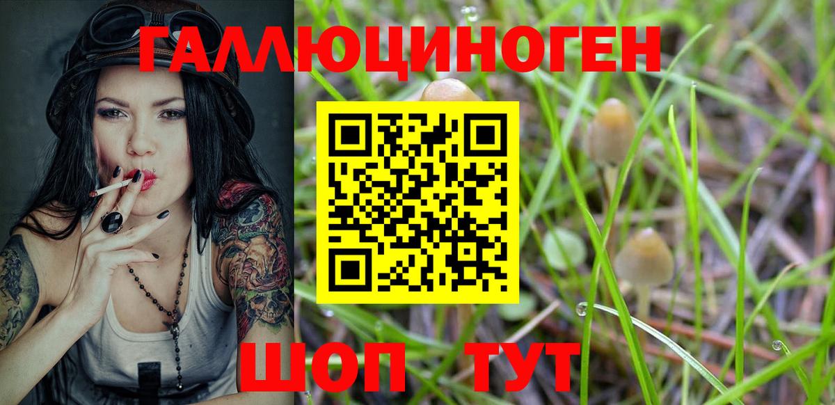 Галлюциногенные грибы MAGIC MUSHROOMS  Псилоцибиновые грибы Psilocybe  Кинешма 