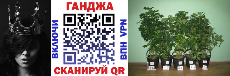shop какой сайт  Кинешма  Каннабис ГИДРОПОН 
